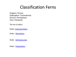 Classification Ferns
Kingdom: Plantae
Subkingdom: Tracheobionta
Division: Pteridophyta
Class: Filicopsida
The are 4 orders:
Order: Hydropteridales
Order : Marattiales
Order : Ophioglossales
Order : Polypodiales
 