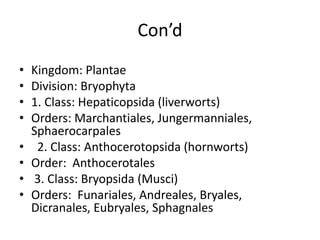 Con’d
• Kingdom: Plantae
• Division: Bryophyta
• 1. Class: Hepaticopsida (liverworts)
• Orders: Marchantiales, Jungermanniales,
Sphaerocarpales
• 2. Class: Anthocerotopsida (hornworts)
• Order: Anthocerotales
• 3. Class: Bryopsida (Musci)
• Orders: Funariales, Andreales, Bryales,
Dicranales, Eubryales, Sphagnales
 