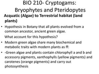 BIO 210- Cryptogams:
Bryophytes and Pteridopytes
Acquatic (Algae) to Terrestrial habitat (land
plants)
• Hypothesis in Botany that all plants evolved from a
common ancestor, ancient green algae.
What account for this hypothesis?
• Modern green algae share many biochemical and
metabolic traits with modern plants as ff:
• -Green algae and plants contain chlorophyll a and b and
accessory pigments, xanthophylls (yellow pigments) and
carotenes (orange pigments) and carry out
photosynthesis
 