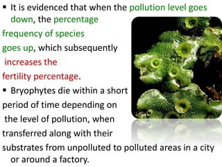  It is evidenced that when the pollution level goes
down, the percentage
frequency of species
goes up, which subsequently
increases the
fertility percentage.
 Bryophytes die within a short
period of time depending on
the level of pollution, when
transferred along with their
substrates from unpolluted to polluted areas in a city
or around a factory.
 
