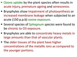  Ozone uptake by the plant species often results in
acute injury, premature ageing and senescence.
 Bryophytes show impairment of photosynthesis or
increased membrane leakage when subjected to an
acute (150 p.p.b) ozone exposure.
 Several species of Sphagnum species were found to
be chronic to O3 exposure.
 Bryophytes are able to concentrate heavy metals in
large amounts than that of vascular plants.
 The older tissues of the plant have higher
concentrations of the metallic ions as compared to
the younger portions.
 