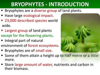 BRYOPHYTES - INTRODUCTION
 Bryophytes are a diverse group of land plants.
 Have large ecological impact.
 23,000 described species world
wide.
 Largest group of land plants
except for the flowering plants.
 Integral part of natural
environment of forest ecosystems.
 Bryophytes are of small size.
 Some of them attain a height up to half metre or a little
more.
 Store large amount of water, nutrients and carbon in
their biomass.
 