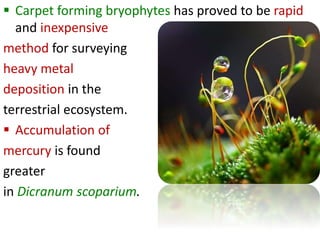  Carpet forming bryophytes has proved to be rapid
and inexpensive
method for surveying
heavy metal
deposition in the
terrestrial ecosystem.
 Accumulation of
mercury is found
greater
in Dicranum scoparium.
 