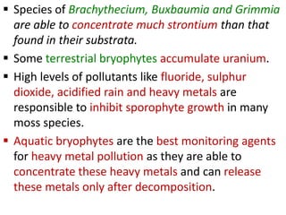  Species of Brachythecium, Buxbaumia and Grimmia
are able to concentrate much strontium than that
found in their substrata.
 Some terrestrial bryophytes accumulate uranium.
 High levels of pollutants like fluoride, sulphur
dioxide, acidified rain and heavy metals are
responsible to inhibit sporophyte growth in many
moss species.
 Aquatic bryophytes are the best monitoring agents
for heavy metal pollution as they are able to
concentrate these heavy metals and can release
these metals only after decomposition.
 