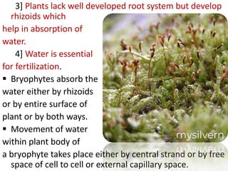 3] Plants lack well developed root system but develop
rhizoids which
help in absorption of
water.
4] Water is essential
for fertilization.
 Bryophytes absorb the
water either by rhizoids
or by entire surface of
plant or by both ways.
 Movement of water
within plant body of
a bryophyte takes place either by central strand or by free
space of cell to cell or external capillary space.
 