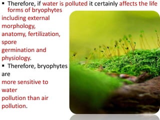 Therefore, if water is polluted it certainly affects the life
forms of bryophytes
including external
morphology,
anatomy, fertilization,
spore
germination and
physiology.
 Therefore, bryophytes
are
more sensitive to
water
pollution than air
pollution.
 