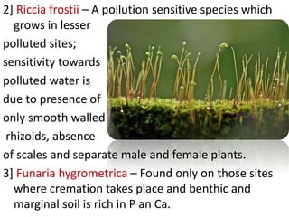 2] Riccia frostii – A pollution sensitive species which
grows in lesser
polluted sites;
sensitivity towards
polluted water is
due to presence of
only smooth walled
rhizoids, absence
of scales and separate male and female plants.
3] Funaria hygrometrica – Found only on those sites
where cremation takes place and benthic and
marginal soil is rich in P an Ca.
 