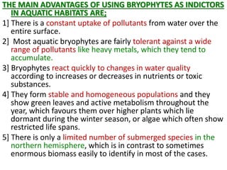 THE MAIN ADVANTAGES OF USING BRYOPHYTES AS INDICTORS
IN AQUATIC HABITATS ARE;
1] There is a constant uptake of pollutants from water over the
entire surface.
2] Most aquatic bryophytes are fairly tolerant against a wide
range of pollutants like heavy metals, which they tend to
accumulate.
3] Bryophytes react quickly to changes in water quality
according to increases or decreases in nutrients or toxic
substances.
4] They form stable and homogeneous populations and they
show green leaves and active metabolism throughout the
year, which favours them over higher plants which lie
dormant during the winter season, or algae which often show
restricted life spans.
5] There is only a limited number of submerged species in the
northern hemisphere, which is in contrast to sometimes
enormous biomass easily to identify in most of the cases.
 