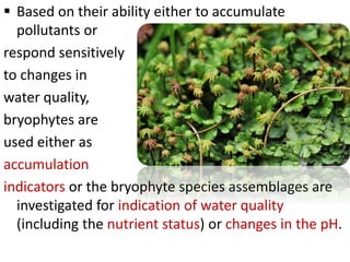  Based on their ability either to accumulate
pollutants or
respond sensitively
to changes in
water quality,
bryophytes are
used either as
accumulation
indicators or the bryophyte species assemblages are
investigated for indication of water quality
(including the nutrient status) or changes in the pH.
 