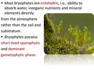  Most bryophytes are ectohydric, i.e., ability to
absorb water, inorganic nutrients and mineral
elements directly
from the atmosphere
rather than the soil and
substratum.
 Bryophytes possess
short-lived sporophytic
and dominant
gametophytic phase.
 