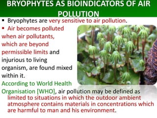 BRYOPHYTES AS BIOINDICATORS OF AIR
POLLUTION
 Bryophytes are very sensitive to air pollution.
 Air becomes polluted
when air pollutants,
which are beyond
permissible limits and
injurious to living
organism, are found mixed
within it.
According to World Health
Organisation [WHO], air pollution may be defined as
limited to situations in which the outdoor ambient
atmosphere contains materials in concentrations which
are harmful to man and his environment.
 