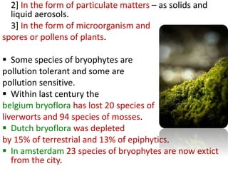 2] In the form of particulate matters – as solids and
liquid aerosols.
3] In the form of microorganism and
spores or pollens of plants.
 Some species of bryophytes are
pollution tolerant and some are
pollution sensitive.
 Within last century the
belgium bryoflora has lost 20 species of
liverworts and 94 species of mosses.
 Dutch bryoflora was depleted
by 15% of terrestrial and 13% of epiphytics.
 In amsterdam 23 species of bryophytes are now extict
from the city.
 