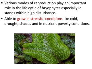  Various modes of reproduction play an important
role in the life cycle of bryophytes especially in
stands within high disturbance.
 Able to grow in stressful conditions like cold,
drought, shades and in nutrient poverty conditions.
 