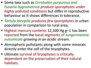  Some taxa such as Ceratodon purpureus and
Funaria hygrometrica produce sporophytes under
highly polluted conditions but differ in reproductive
behaviour as it shows differences in tolerance.
 Tortula laevipila produces few sporophytes in urban
population in comparison to rural area.
 Highest mercury contents 12,100 Hg g–1 has been
reported from the basal segments of Jungermannia
vulcanicola growing in an acidic stream.
 Atmospheric pollutants along with some minerals
directly enter the cell of the bryophytes.
 Ultimate survival of bryophytes is critically
dependent on the preservation of their natural
habitats.
 