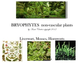 BRYOPHYTES non-vascular plants
         by Annie Cloutier copyright 2012


    Liverwort, Mosses, Hornworts




          acloutier 2012 copyright
 