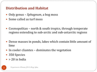 Distribution and Habitat
3
 Only genus – Sphagnum, a bog moss
 Some called as turf moss
 Cosmopolitan – north & south tropics, through temperate
regions extending to sub-arctic and sub-antarctic regions
 Dense masses in ponds, lakes which contain little amount of
lime
 In cooler cliamtes – dominates the vegetation
 350 Species
 > 20 in India
Department of Botany JES College Jalna
 