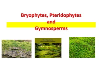 Bryophytes, Pteridophytes
and
Gymnosperms
 