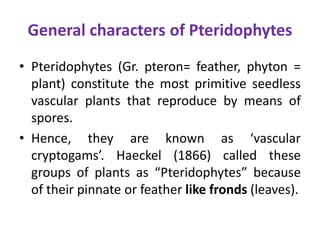 General characters of Pteridophytes
• Pteridophytes (Gr. pteron= feather, phyton =
plant) constitute the most primitive seedless
vascular plants that reproduce by means of
spores.
• Hence, they are known as ‘vascular
cryptogams’. Haeckel (1866) called these
groups of plants as “Pteridophytes” because
of their pinnate or feather like fronds (leaves).
 