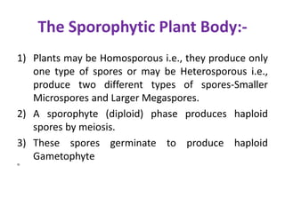 The Sporophytic Plant Body:-
1) Plants may be Homosporous i.e., they produce only
one type of spores or may be Heterosporous i.e.,
produce two different types of spores-Smaller
Microspores and Larger Megaspores.
2) A sporophyte (diploid) phase produces haploid
spores by meiosis.
3) These spores germinate to produce haploid
Gametophyte
4)
 