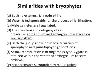 Similarities with bryophytes
(a) Both have terrestrial mode of life.
(b) Water is indispensable for the process of fertilization.
(c) Male gametes are flagellated.
(d) The structure and ontogeny of sex
organs i.e. antheridium and archegonium is based on
similar pattern.
(e) Both the groups have definite alternation of
sporophytic and gametophytic generations.
(f) Sexual reproduction is of oogamous type. Zygote is
retained within the venter of archegonium to form
embryo.
(g) Sex organs are surrounded by sterile jacket.
 