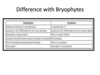Difference with Bryophytes
 