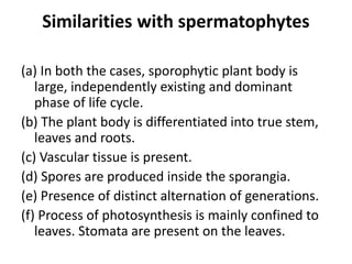 Similarities with spermatophytes
(a) In both the cases, sporophytic plant body is
large, independently existing and dominant
phase of life cycle.
(b) The plant body is differentiated into true stem,
leaves and roots.
(c) Vascular tissue is present.
(d) Spores are produced inside the sporangia.
(e) Presence of distinct alternation of generations.
(f) Process of photosynthesis is mainly confined to
leaves. Stomata are present on the leaves.
 