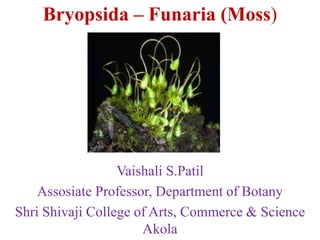 Bryopsida – Funaria (Moss)
Vaishali S.Patil
Assosiate Professor, Department of Botany
Shri Shivaji College of Arts, Commerce & Science
Akola
 