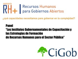Panel
“Los Institutos Gubernamentales de Capacitación y
las Estrategias de Formación
de Recursos Humanos para el Sector Público”
 