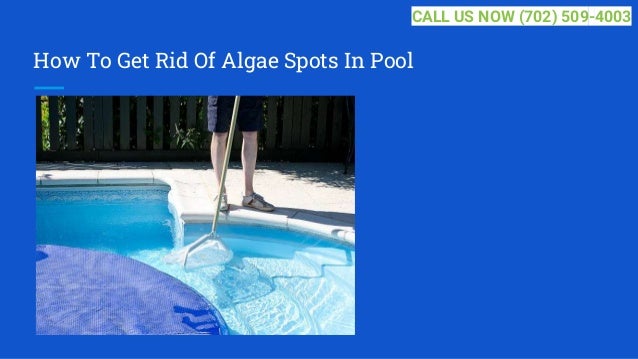 How To Get Rid Of Algae Spots In Pool
CALL US NOW (702) 509-4003
 