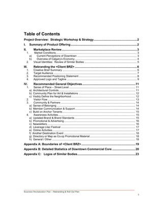 Business Revitalization Zone - Rebranding & Roll Out Plan