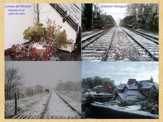 Lomas del Mirador Nevada en el patio de casa Estación Adrogué 