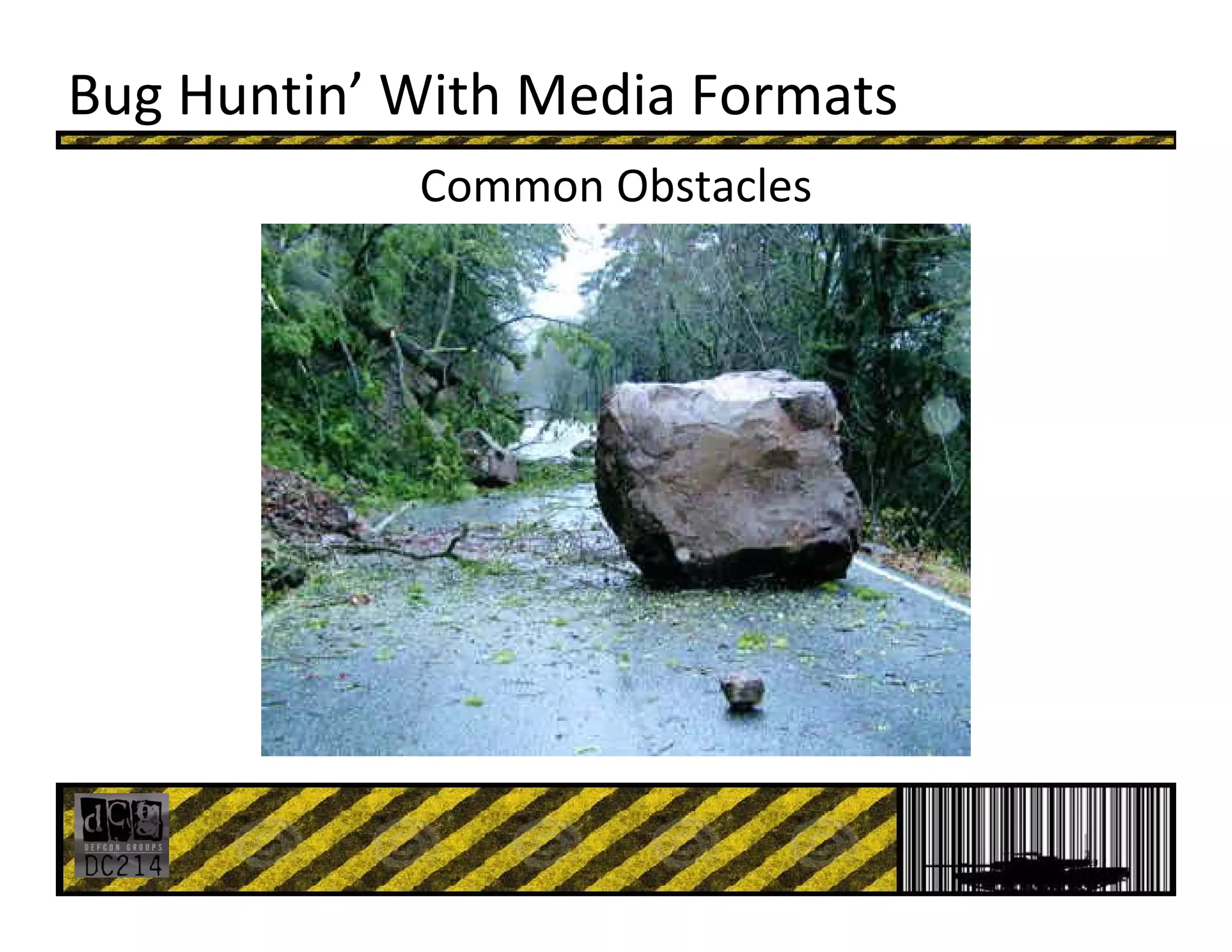 Bug Huntin’ With Media Formats
Common Obstacles 
 