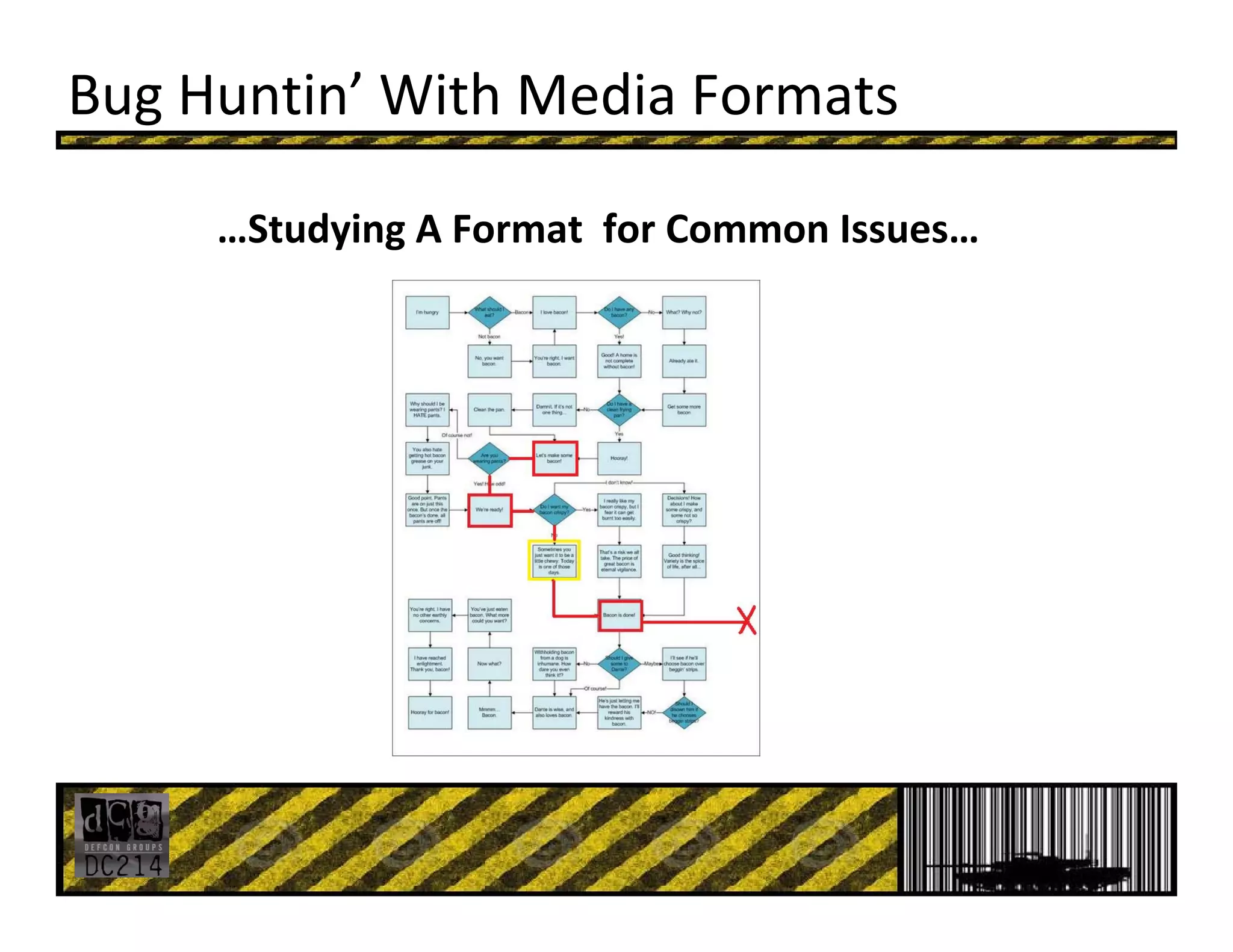 Bug Huntin’ With Media Formats
…Studying A Format  for Common Issues…
 