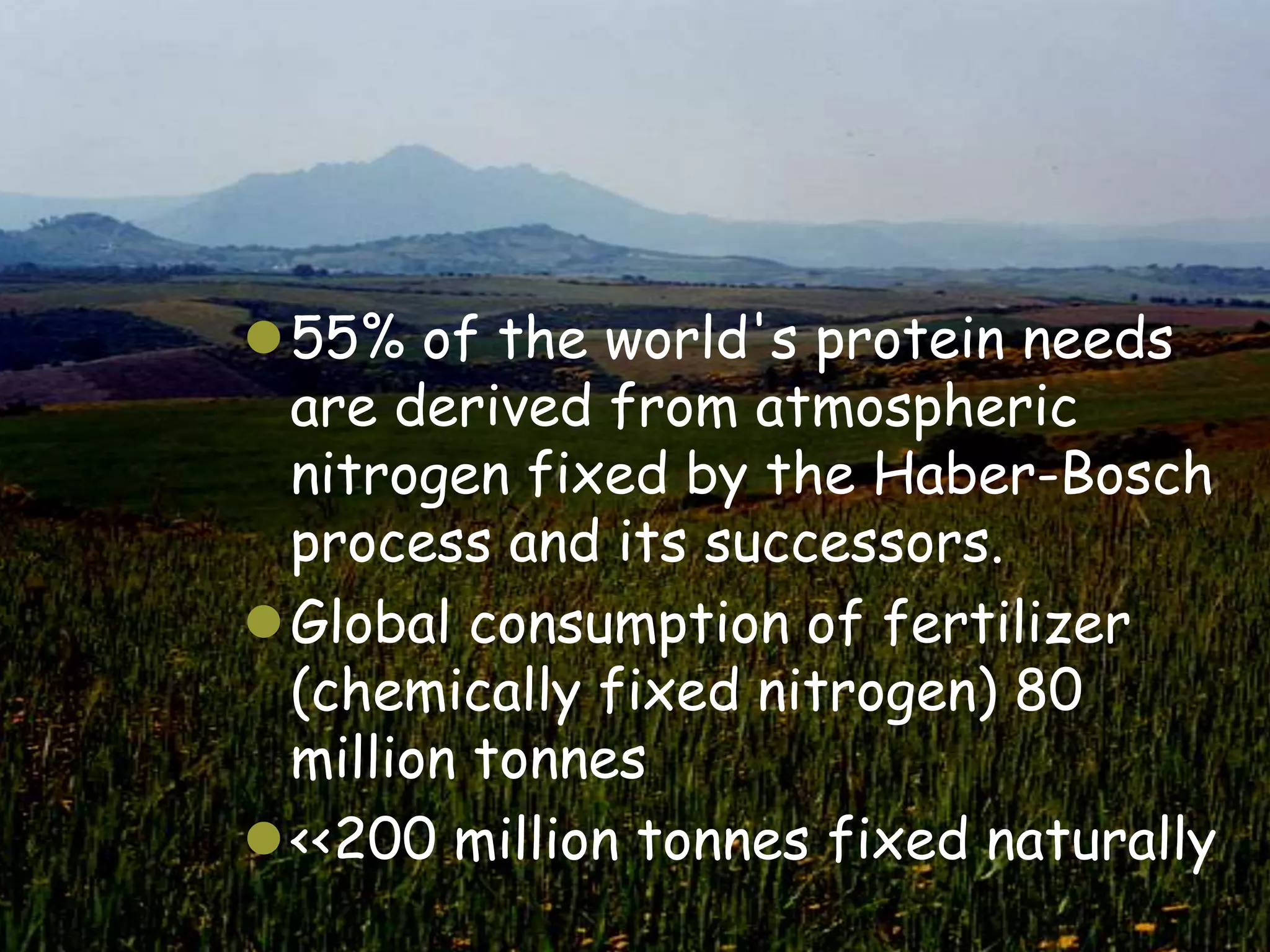 55% of the world's protein needs
 are derived from atmospheric
 nitrogen fixed by the Haber-Bosch
 process and its successors.
Global consumption of fertilizer
 (chemically fixed nitrogen) 80
 million tonnes
<<200 million tonnes fixed naturally
 