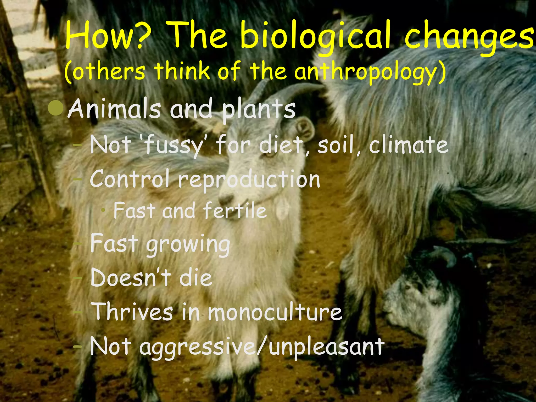 How? The biological changes
 (others think of the anthropology)
Animals and plants
  – Not „fussy‟ for diet, soil, climate
  – Control reproduction
    • Fast and fertile
  – Fast growing
  – Doesn‟t die
  – Thrives in monoculture
  – Not aggressive/unpleasant
                                          15
 