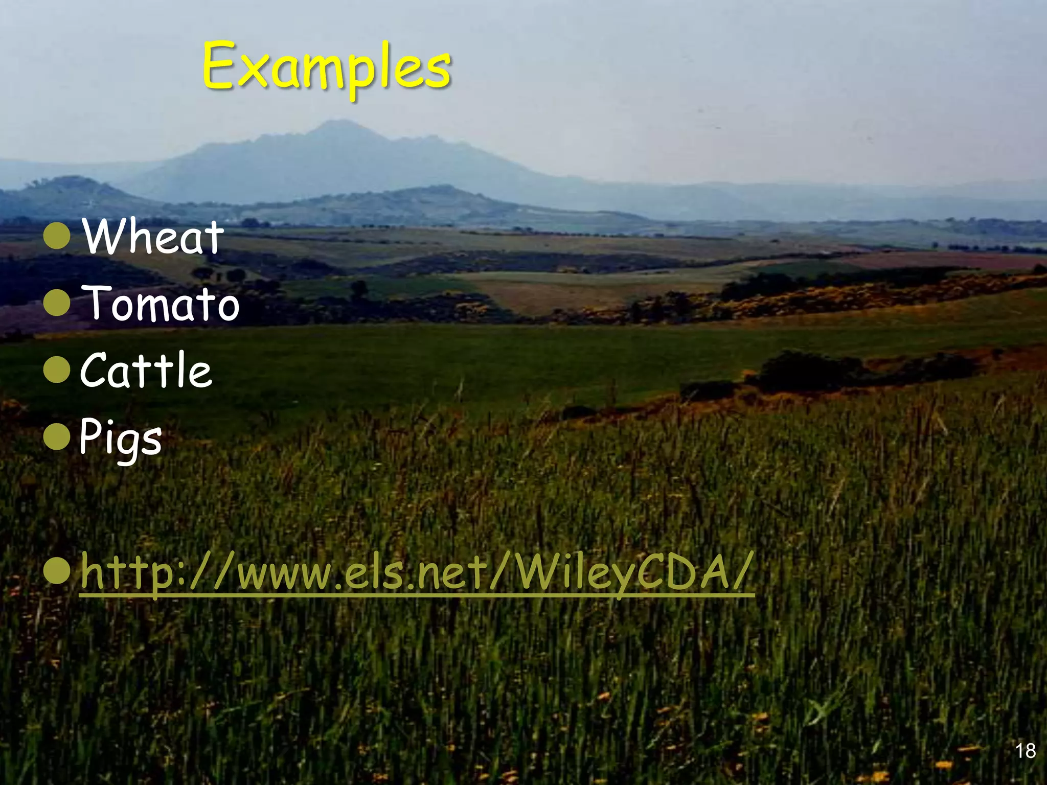 Examples

Wheat
Tomato
Cattle
Pigs

http://www.els.net/WileyCDA/


                                18
 
