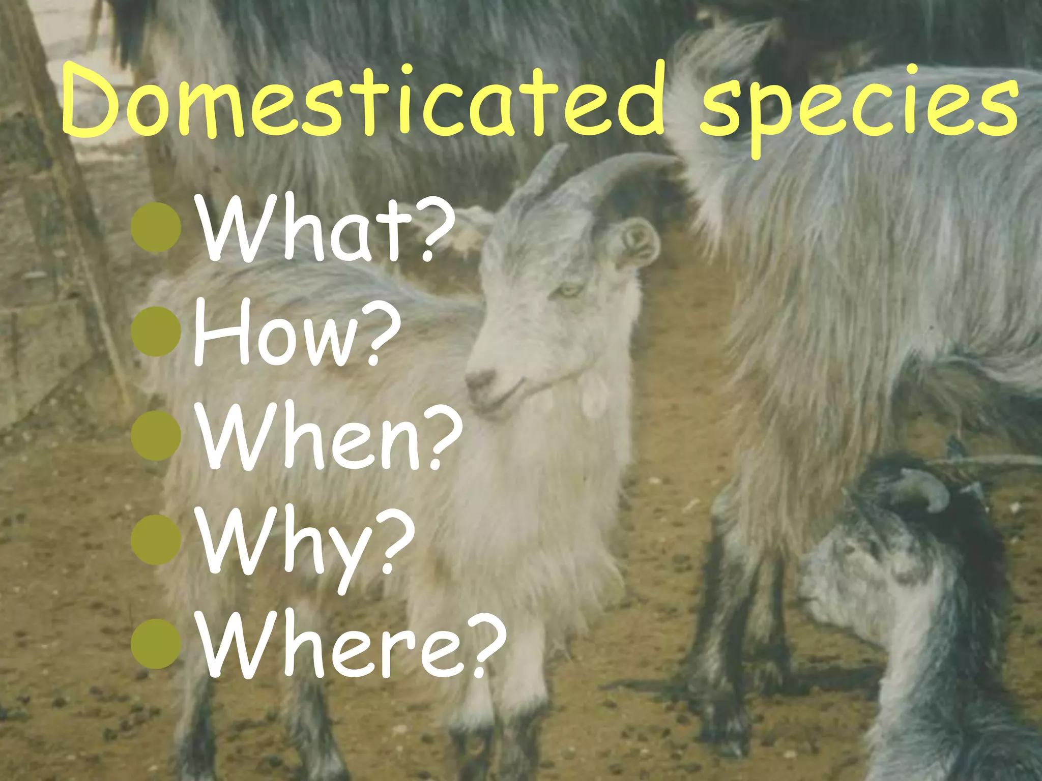 Domesticated species
    What?
    How?
    When?
    Why?
    Where?
20/02/2013          27
 