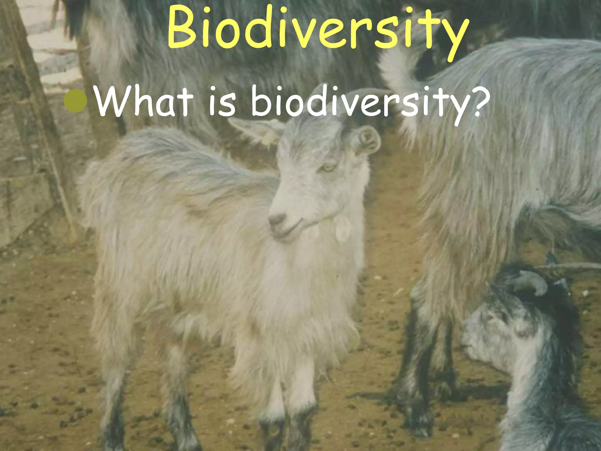 Biodiversity
   What is biodiversity?




20/02/2013                  3
 