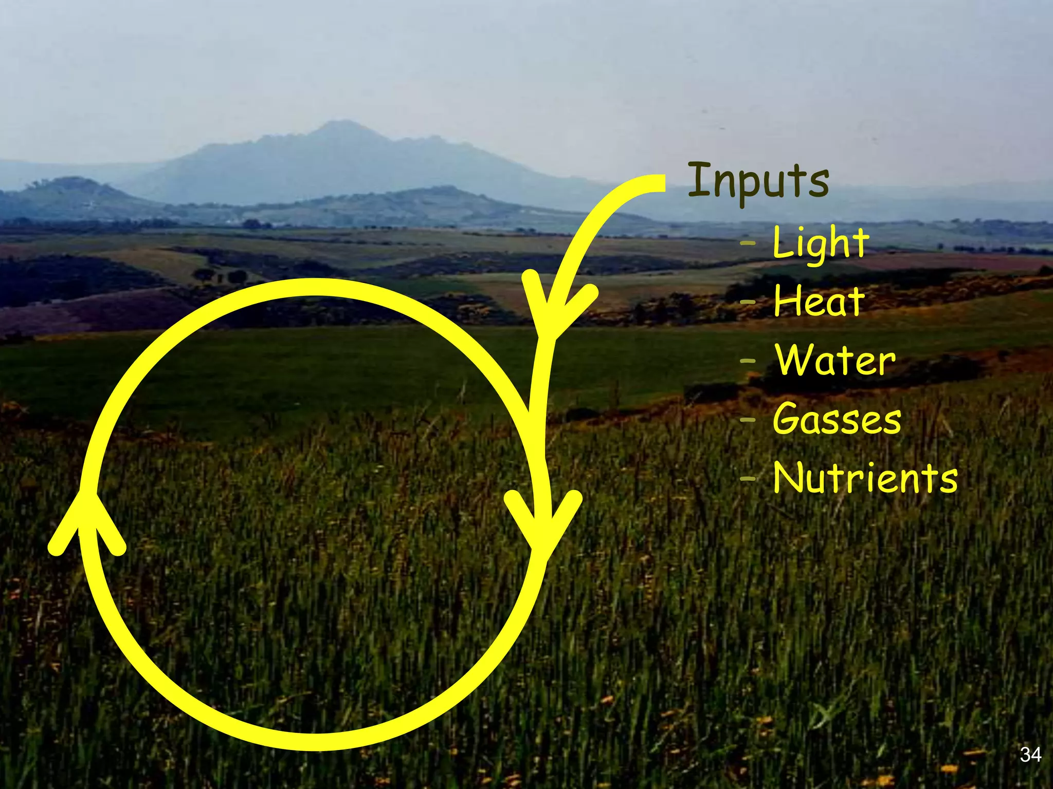 Inputs
  –   Light
  –   Heat
  –   Water
  –   Gasses
  –   Nutrients




                  34
 