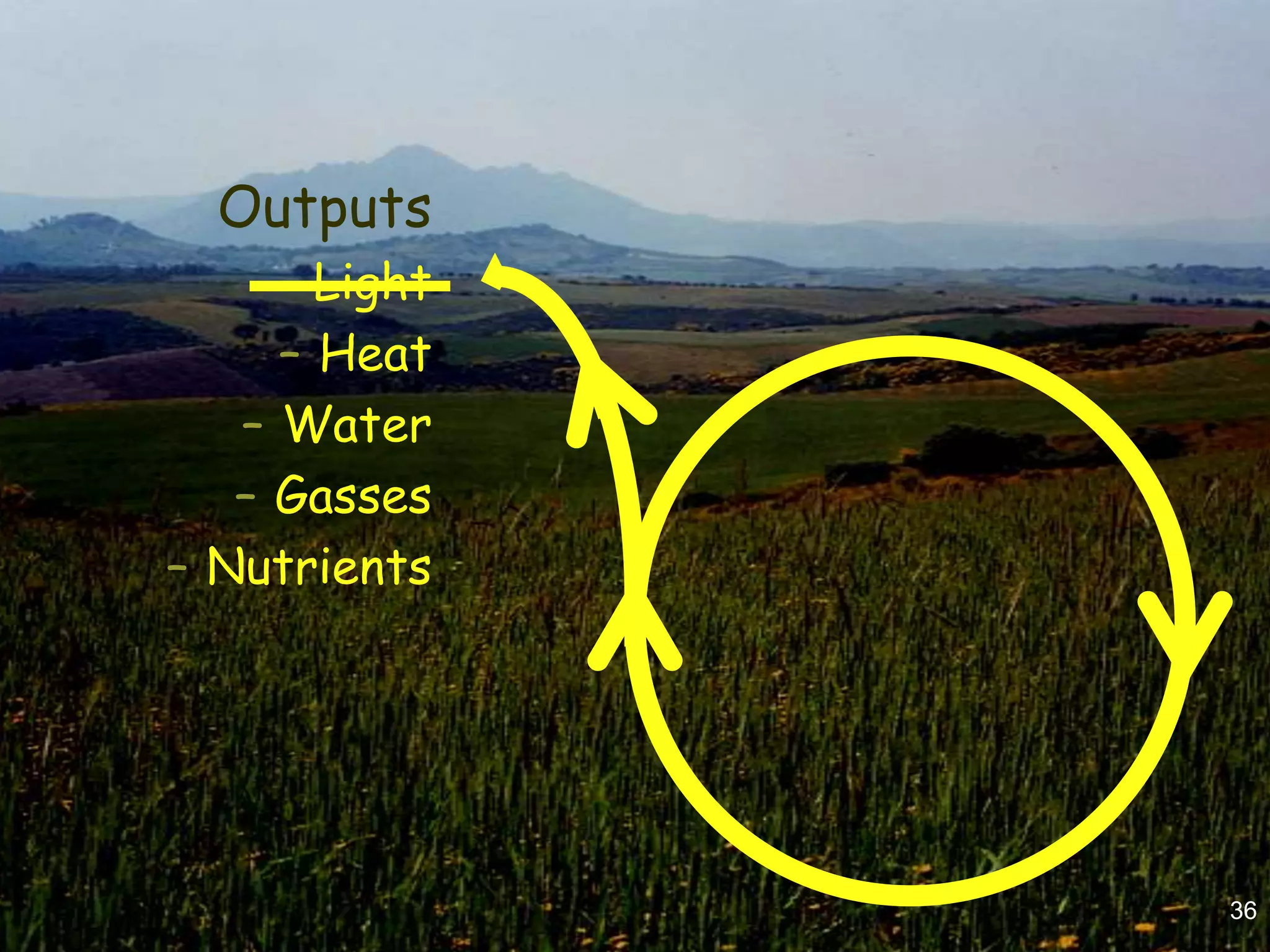 Outputs
     – Light
     – Heat
   – Water
   – Gasses
– Nutrients




               36
 