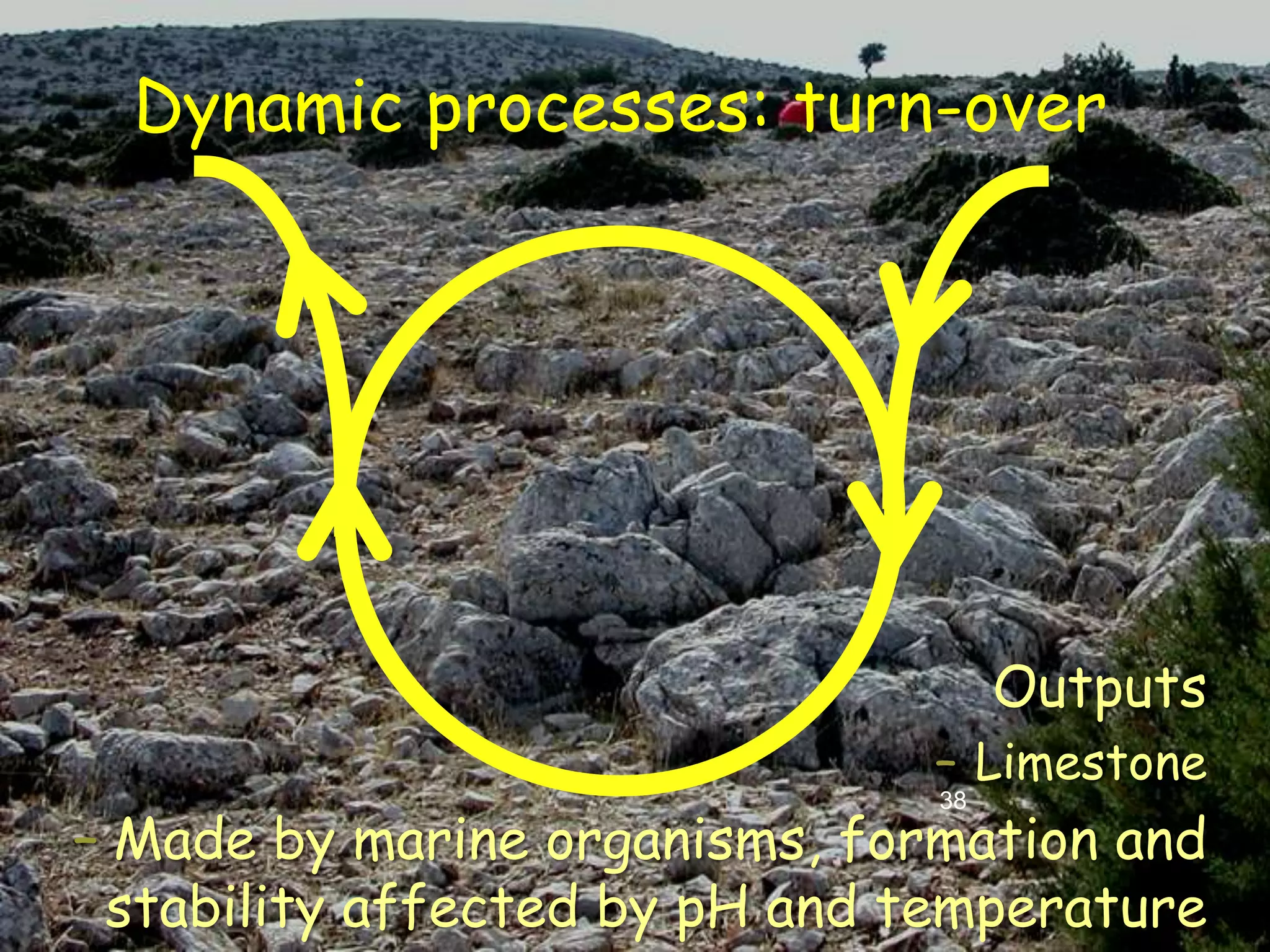 Dynamic processes: turn-over




                                    Outputs
                               – Limestone
                               38
– Made by marine organisms, formation and
 stability affected by pH and temperature
 