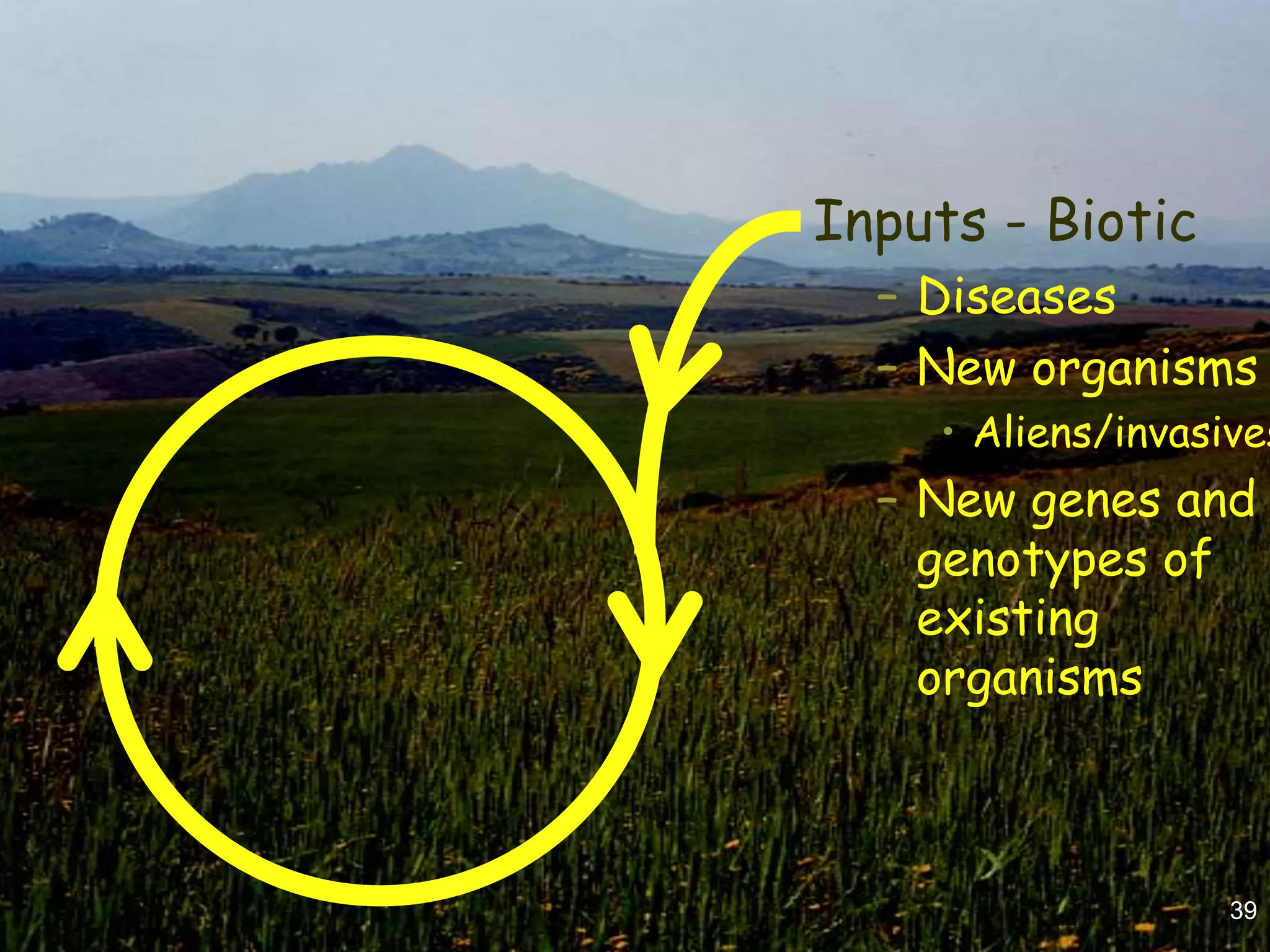 Inputs - Biotic
  – Diseases
  – New organisms
    • Aliens/invasives
  – New genes and
    genotypes of
    existing
    organisms



                   39
 