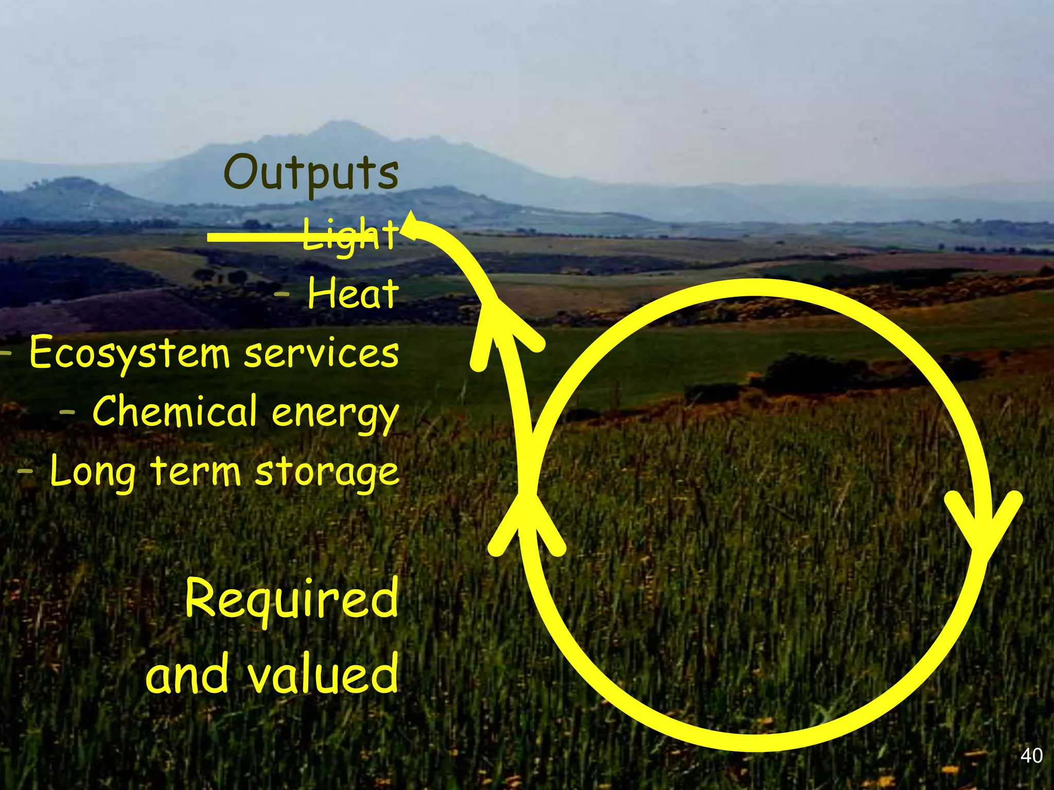 Outputs
              – Light
              – Heat
– Ecosystem services
   – Chemical energy
 – Long term storage


        Required
       and valued
                        40
 