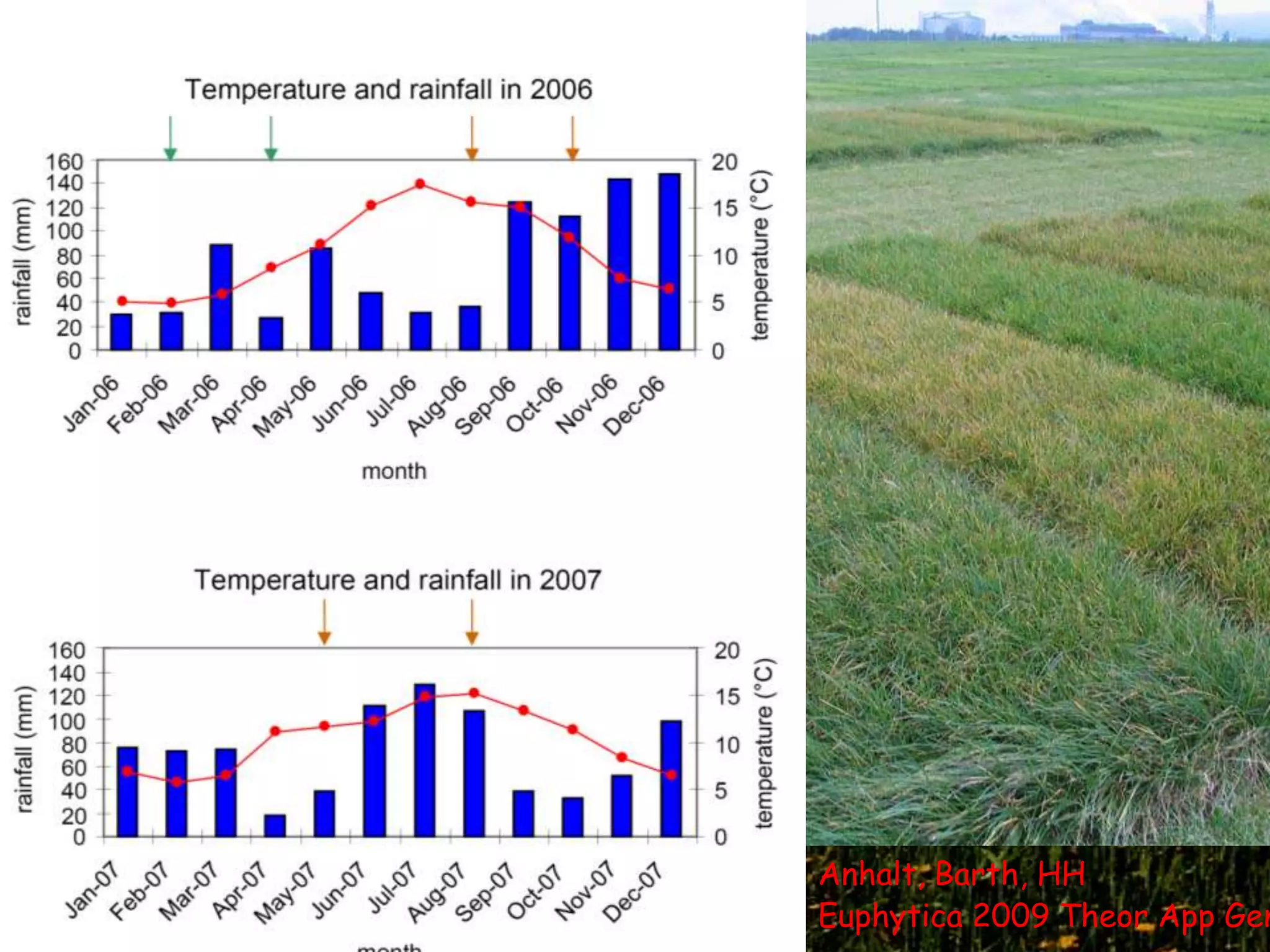 Anhalt, Barth, HH
Euphytica 2009 Theor App Gen
 