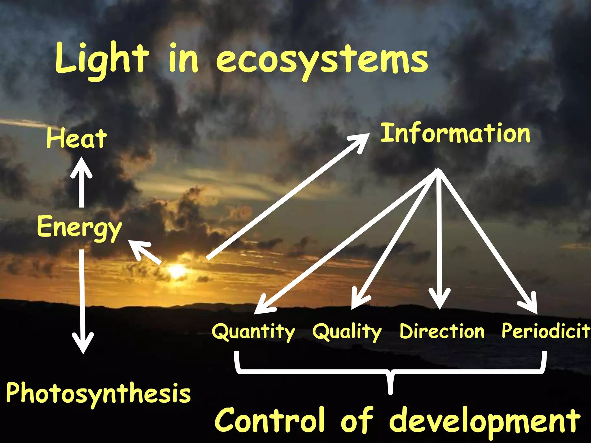 Light in ecosystems
  Heat                           Information


  Energy


                 Quantity Quality Direction Periodicity


Photosynthesis
                 Control of development
 