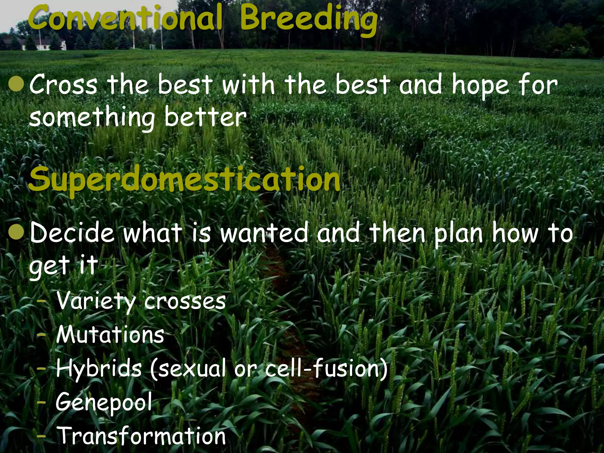 Conventional Breeding
Cross the best with the best and hope for
 something better

 Superdomestication
Decide what is wanted and then plan how to
 get it
  –   Variety crosses
  –   Mutations
  –   Hybrids (sexual or cell-fusion)
  –   Genepool
  –   Transformation
 