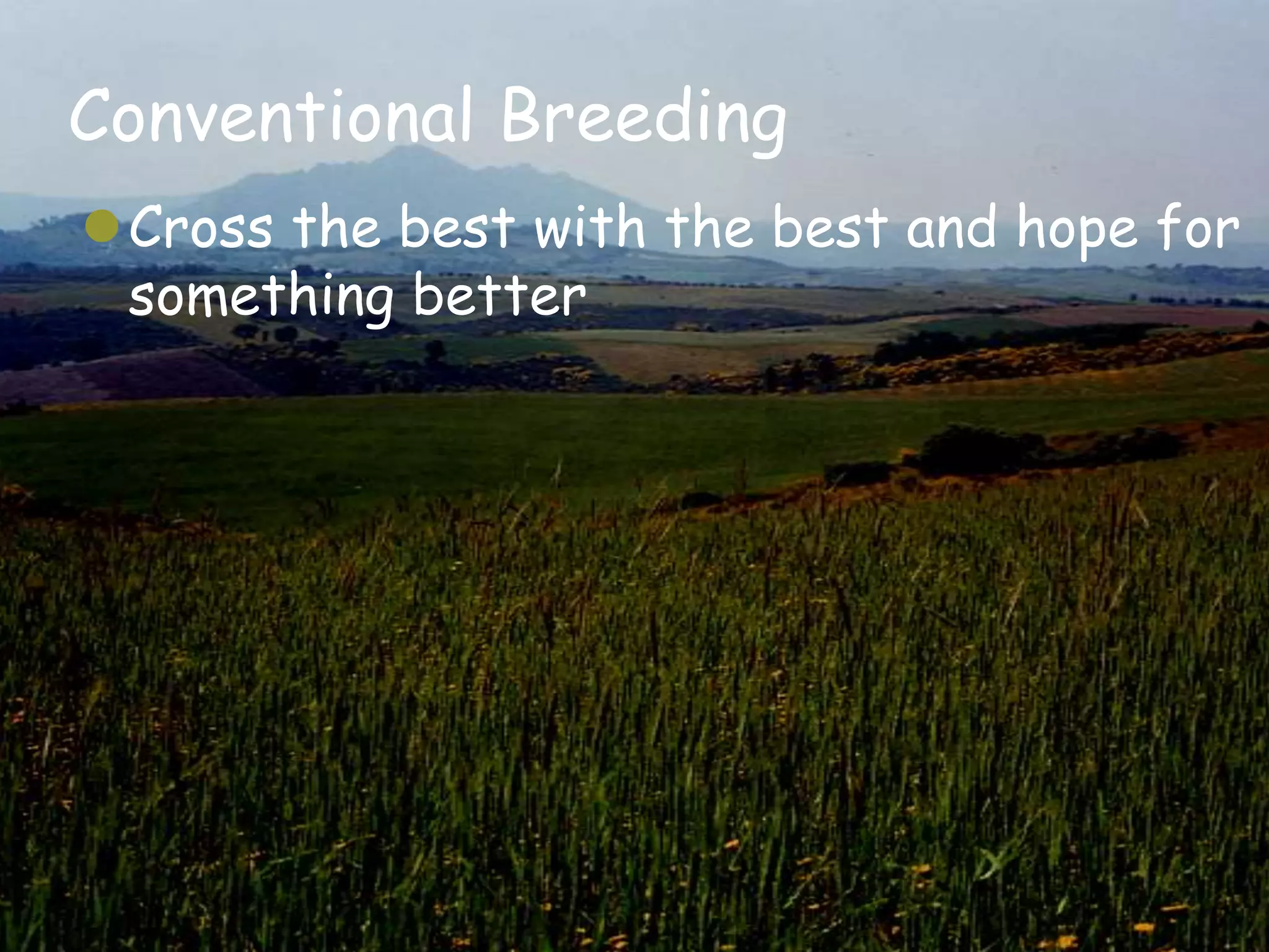 Conventional Breeding
Cross the best with the best and hope for
 something better
 