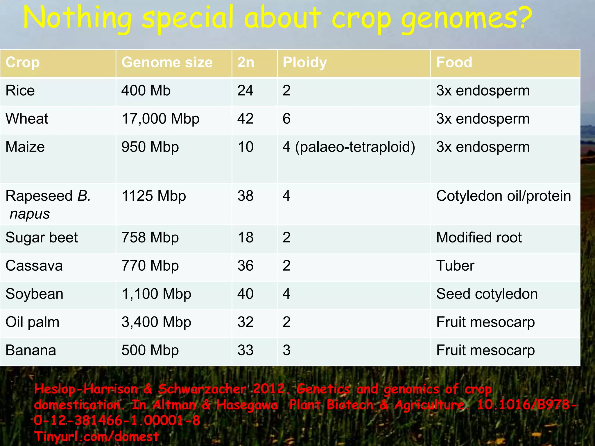 Nothing special about crop genomes?
Crop            Genome size      2n    Ploidy                  Food
Rice            400 Mb           24    2                       3x endosperm
Wheat           17,000 Mbp       42    6                       3x endosperm
Maize           950 Mbp          10    4 (palaeo-tetraploid)   3x endosperm


Rapeseed B.     1125 Mbp         38    4                       Cotyledon oil/protein
napus
Sugar beet      758 Mbp          18    2                       Modified root
Cassava         770 Mbp          36    2                       Tuber
Soybean         1,100 Mbp        40    4                       Seed cotyledon
Oil palm        3,400 Mbp        32    2                       Fruit mesocarp
Banana          500 Mbp          33    3                       Fruit mesocarp

    Heslop-Harrison & Schwarzacher 2012. Genetics and genomics of crop
    domestication. In Altman & Hasegawa Plant Biotech & Agriculture. 10.1016/B978-
    0-12-381466-1.00001-8
    Tinyurl.com/domest
 