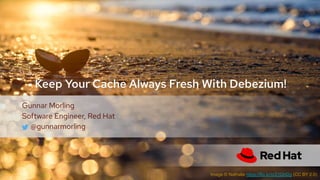 Image © Nathalie https://flic.kr/p/21Ghf2g (CC BY 2.0)
Keep Your Cache Always Fresh With Debezium!
Gunnar Morling
Software Engineer, Red Hat
@gunnarmorling
 