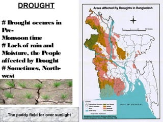 DROUGHT
# Drought occures in
Pre-
Monsoon time
# Lackof rain and
Moisture, the People
affected by Drought
# Sometimes, North-
west
And South-west
regions
affected by drought
The paddy field for over sunlight
 